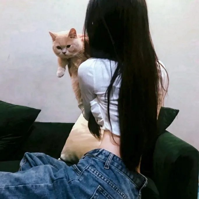 疯狂的钻石
